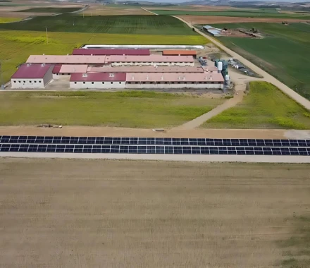 COOPERATIVA AGROGANADERA